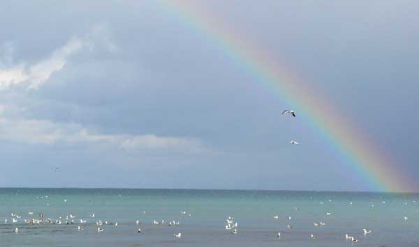 写真：虹の日本海