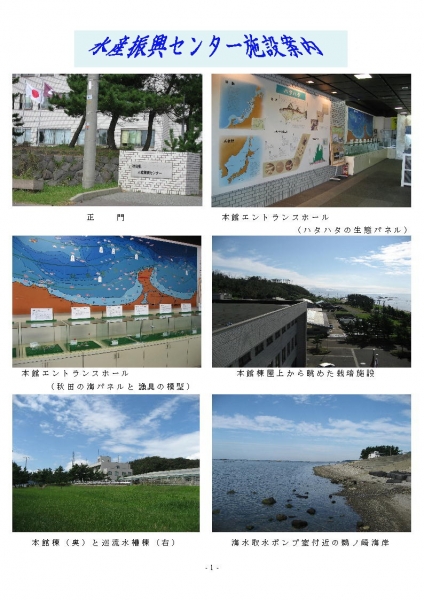 写真:水産振興センター施設
