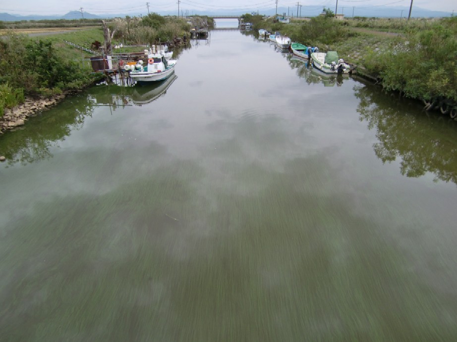 写真：小深見川河口（９月３０日）上流側の状況