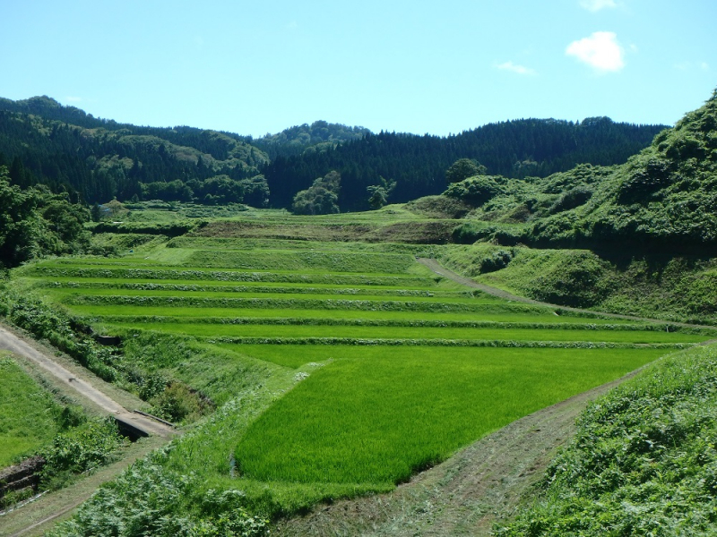 写真:須郷の景色