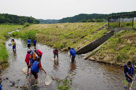 調査の風景 写真