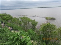 牡丹川河口２１　写真