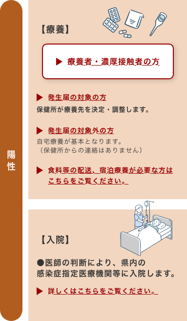 陽性だった場合、療養か入院のいずれかをすることになります。療養する場合、発生届の対象の方は保健所が療養先を決定・調整します。発生届の対象外の方は自宅療養が基本となります。（保健所からの連絡はありません）入院する場合、医師の判断により、県内の感染症指定医療機関等に入院します。