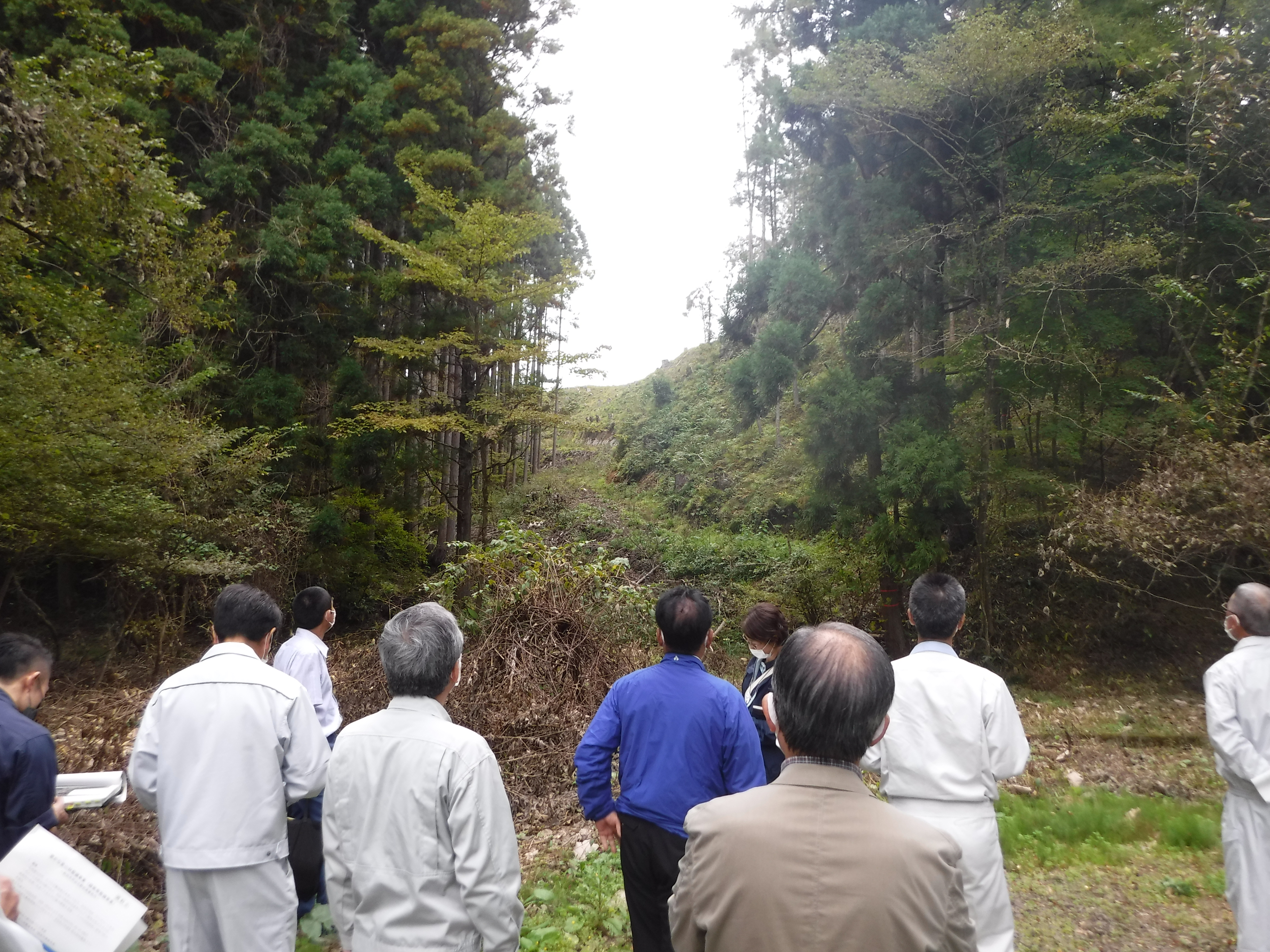 緩衝帯等整備事業（北野田公園、河辺中学校）