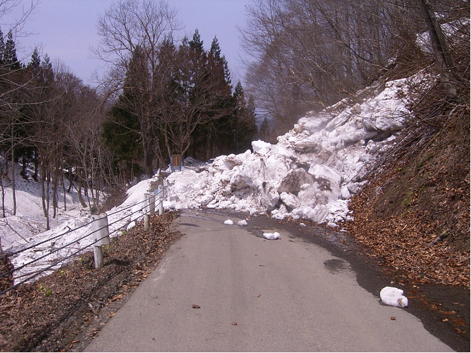 画像：雪崩状況写真