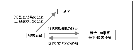 図：監査の結果・公表等の流れ