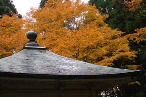 写真：秋の舎利殿の写真