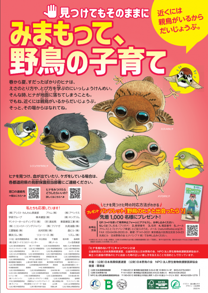 みまもって、野鳥の子育てポスター