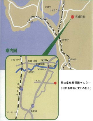 図:交通案内図
