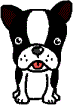 犬の図2