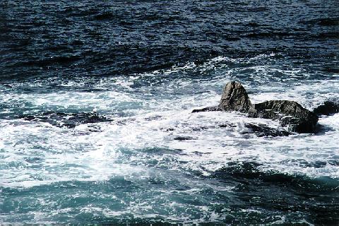 写真：岩ガキを育てる伏流水がわき出る小砂川の海岸