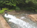 画像：岩股川と鳥越川の合流点