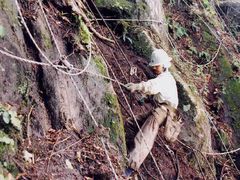 写真：鋼のロープで岩を山に縛り付ける様子