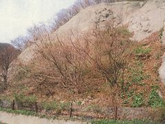 写真：崩れそうなモルタル吹き付け