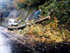 写真:撤去の様子