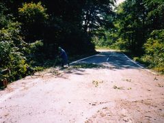 写真:土砂にまみれた路面