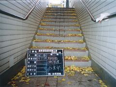 写真：地下道の階段に溜まった落ち葉