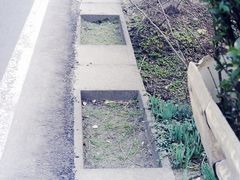 写真:土砂で埋まった側溝