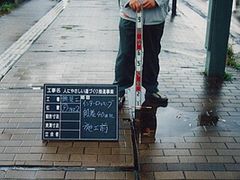 写真:盛り上がったインターロッキングブロック