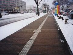 写真：歩道の雪が溶けている様子