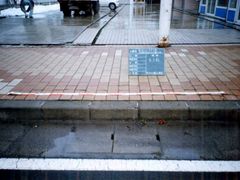 写真:施工前の道路