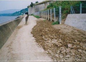 写真:清掃前