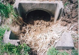 写真:側溝清掃前
