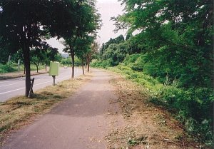 写真:草刈り後