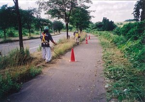 写真：草刈り作業状況