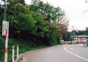 写真:枝払い前