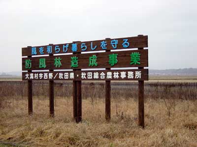 画像 : その他 看板