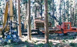 写真：林業機械による作業風景