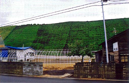 写真：急傾斜地崩壊対策