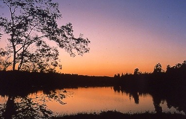 写真：北欧の杜　景色１