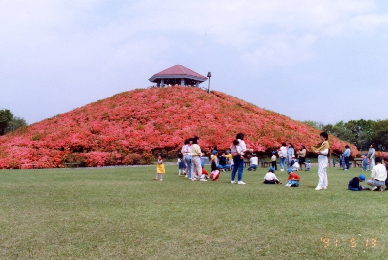 写真：つつじ森