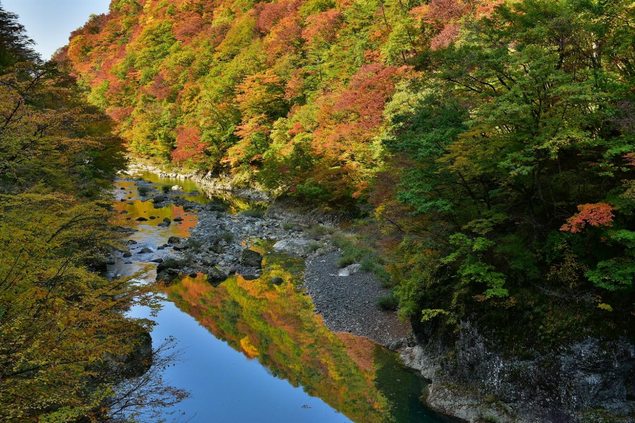 写真：抱返り 紅葉 [294KB]