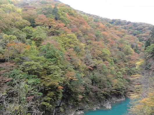 写真:抱返り 紅葉