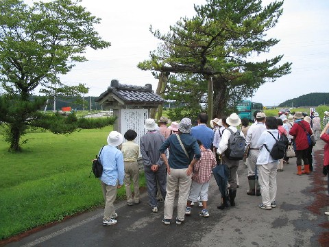 写真：檜山追分旧羽州街道松並木