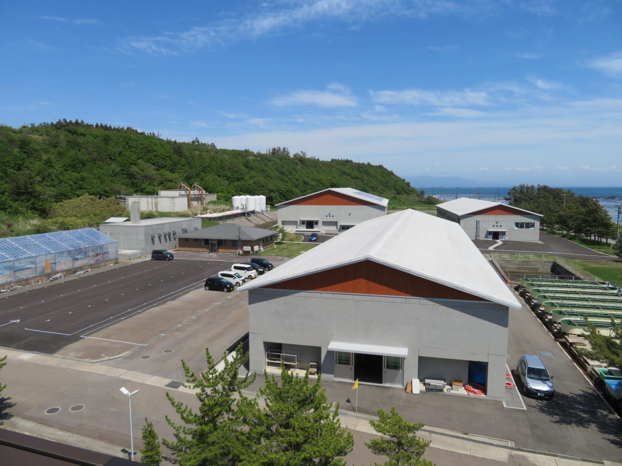 本館棟屋上から眺めた栽培漁業施設 [142KB]