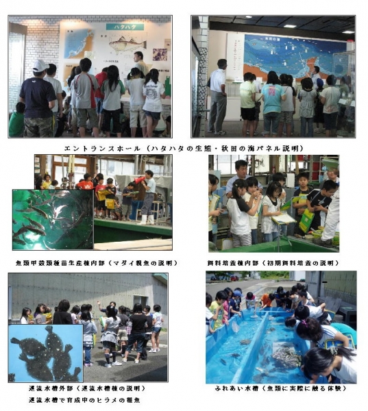 写真:見学コース写真