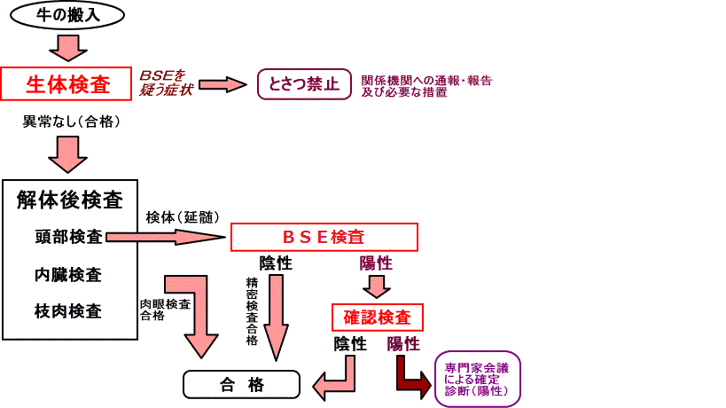 図：ＢＳＥ検査