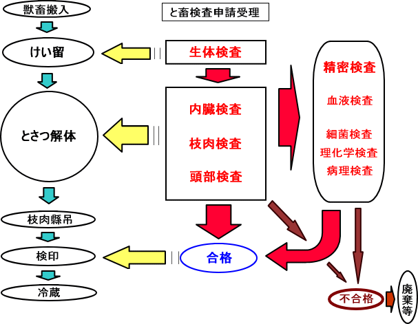 図：食肉検査（と畜検査）の流れ