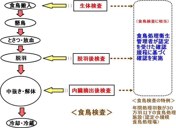 図：食鳥検査フロー