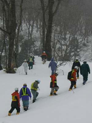 写真：砂子沢ダム安全祈願　道中で雪の中を歩く様子