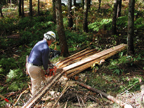 写真：間伐材をスギ板に加工する様子