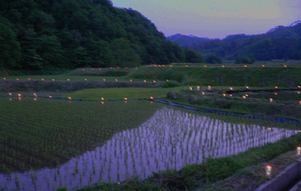 写真：ランタン全景