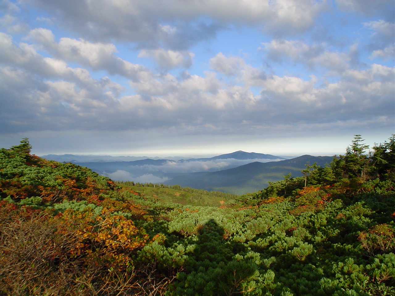 写真：太平山