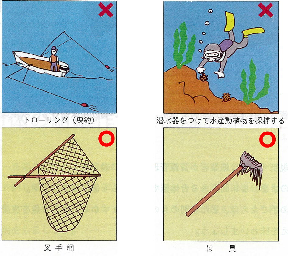 イラスト：遊漁者が使用できる漁具・漁法
