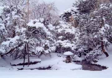 写真旧秋田藩主佐竹氏別邸（如斯亭）庭園２