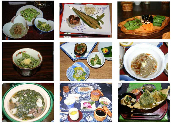 画像：郷土料理の数々